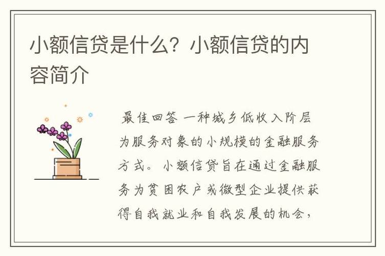 东莞东坑小额贷款额度(东莞小额信贷公司排名)